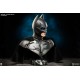 DC Comics Batman The Dark Knight Life Size Bust 74 cm